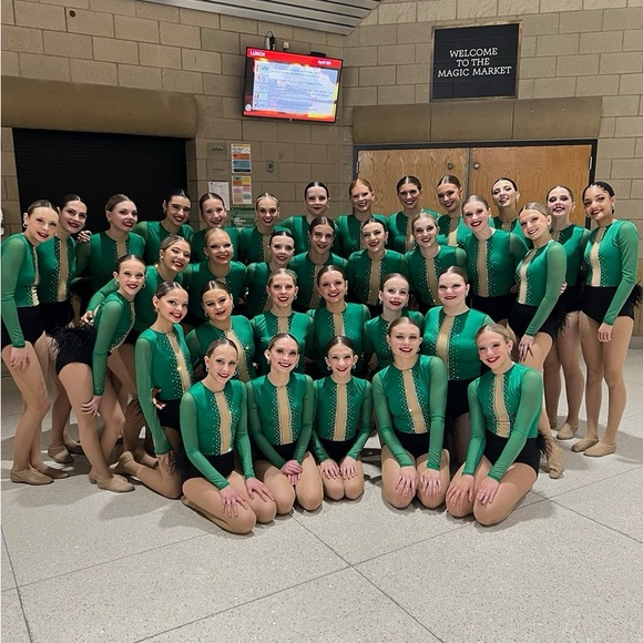 Custom Dance Costume with rhinestones and feathers (size small/medium adult) - Picture 12 of 13